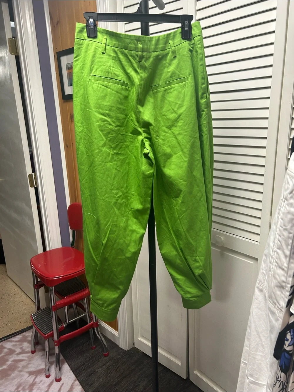 Nwot High-Waist Olive Green Pleated Ankle Pants